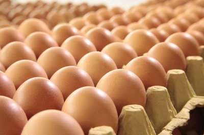 海南自治州鸡蛋检测价格,鸡蛋检测机构,鸡蛋检测项目,鸡蛋常规检测